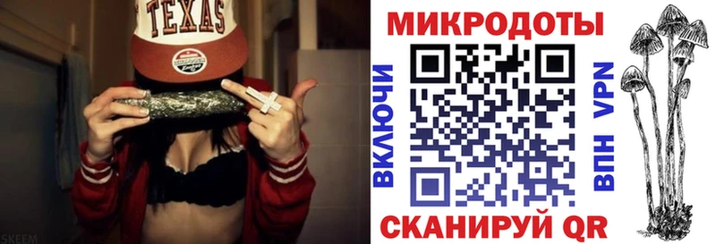 Галлюциногенные грибы Psilocybine cubensis  гидра ТОР  Новоаннинский 